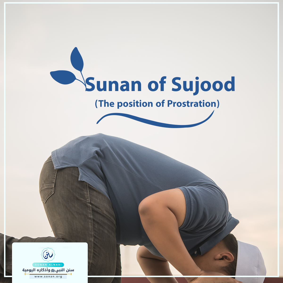 Sunan of Sujood (The position of Prostration).