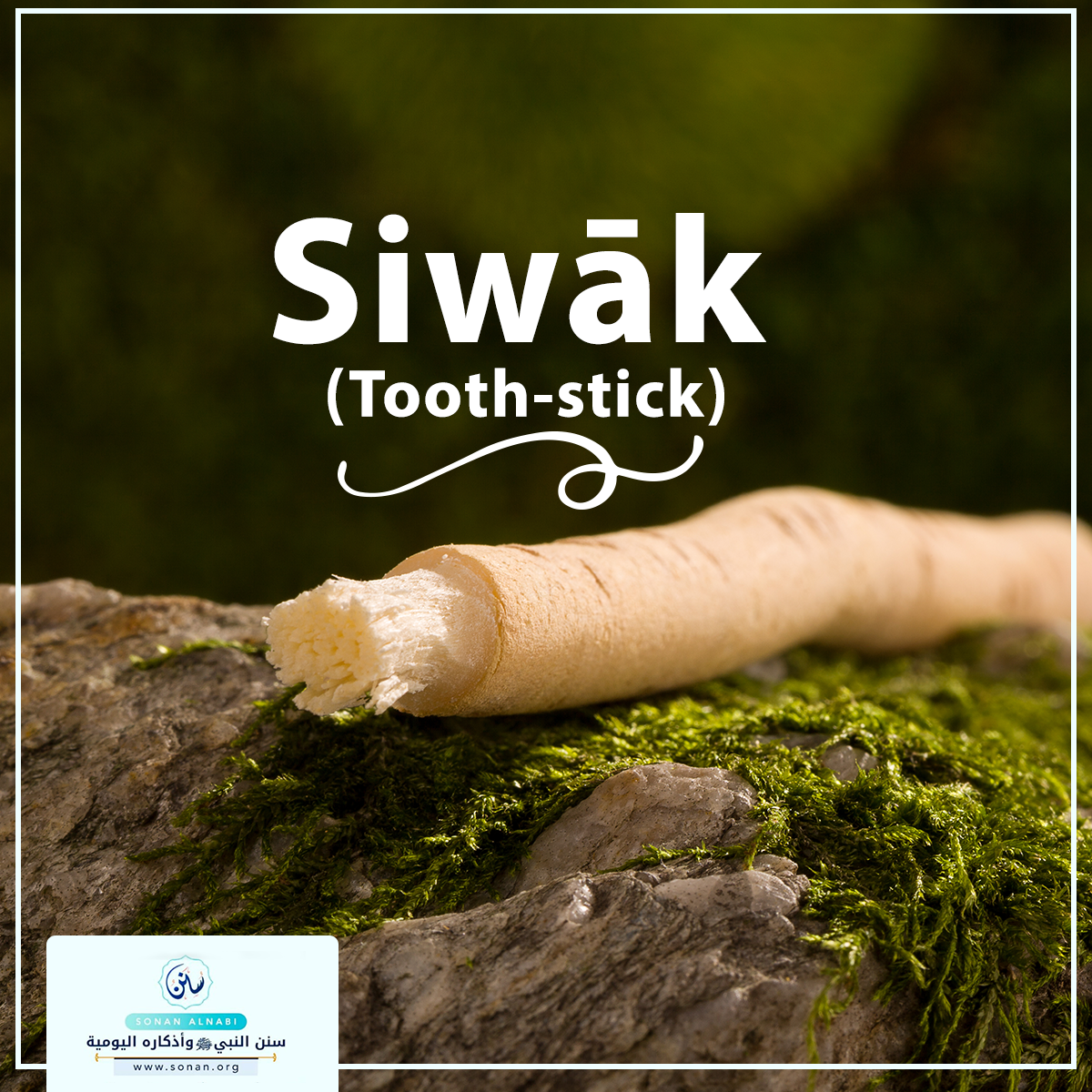 Siwāk (Tooth-stick)