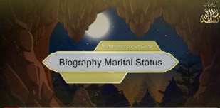 Biography Marital Status