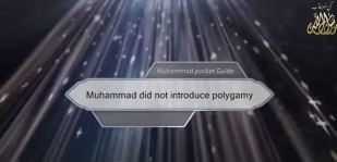 Muhammad did not introduce polygamy