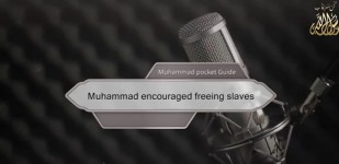 Muhammad encouraged freeing slaves